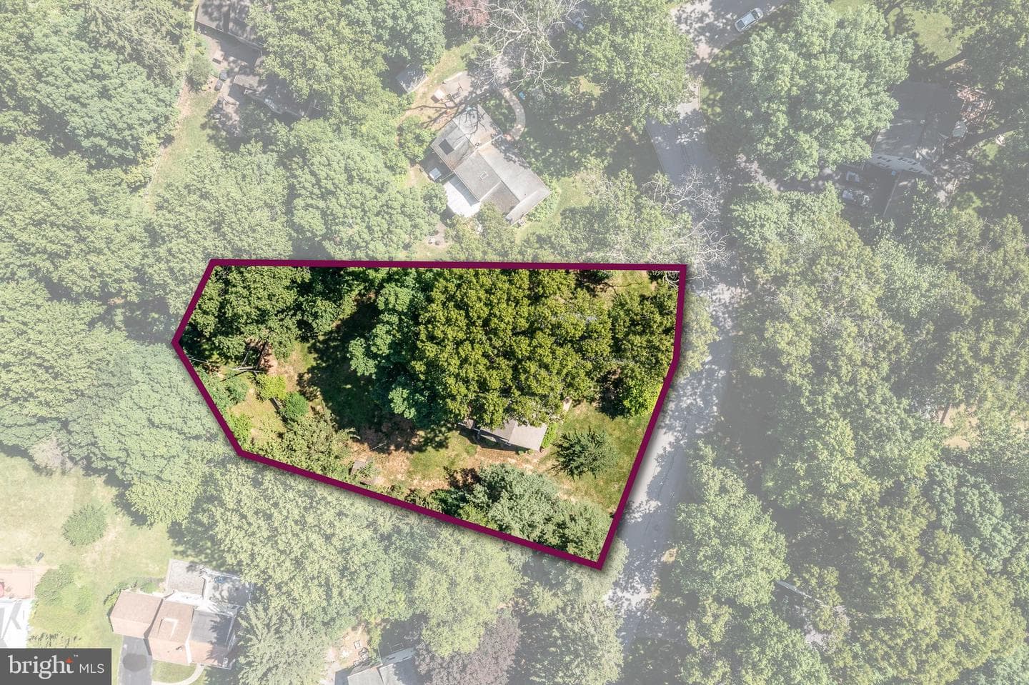 1312 Mary Jane Lane photo 65