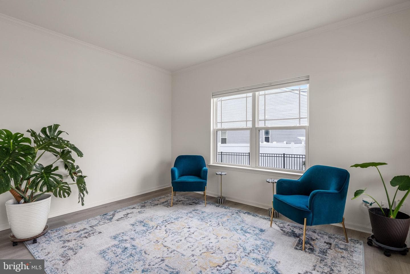 34 Pelham Drive photo 15
