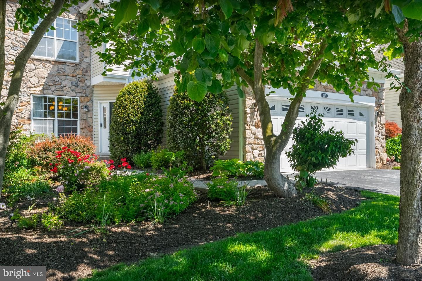 227 Silverbell Court photo 3