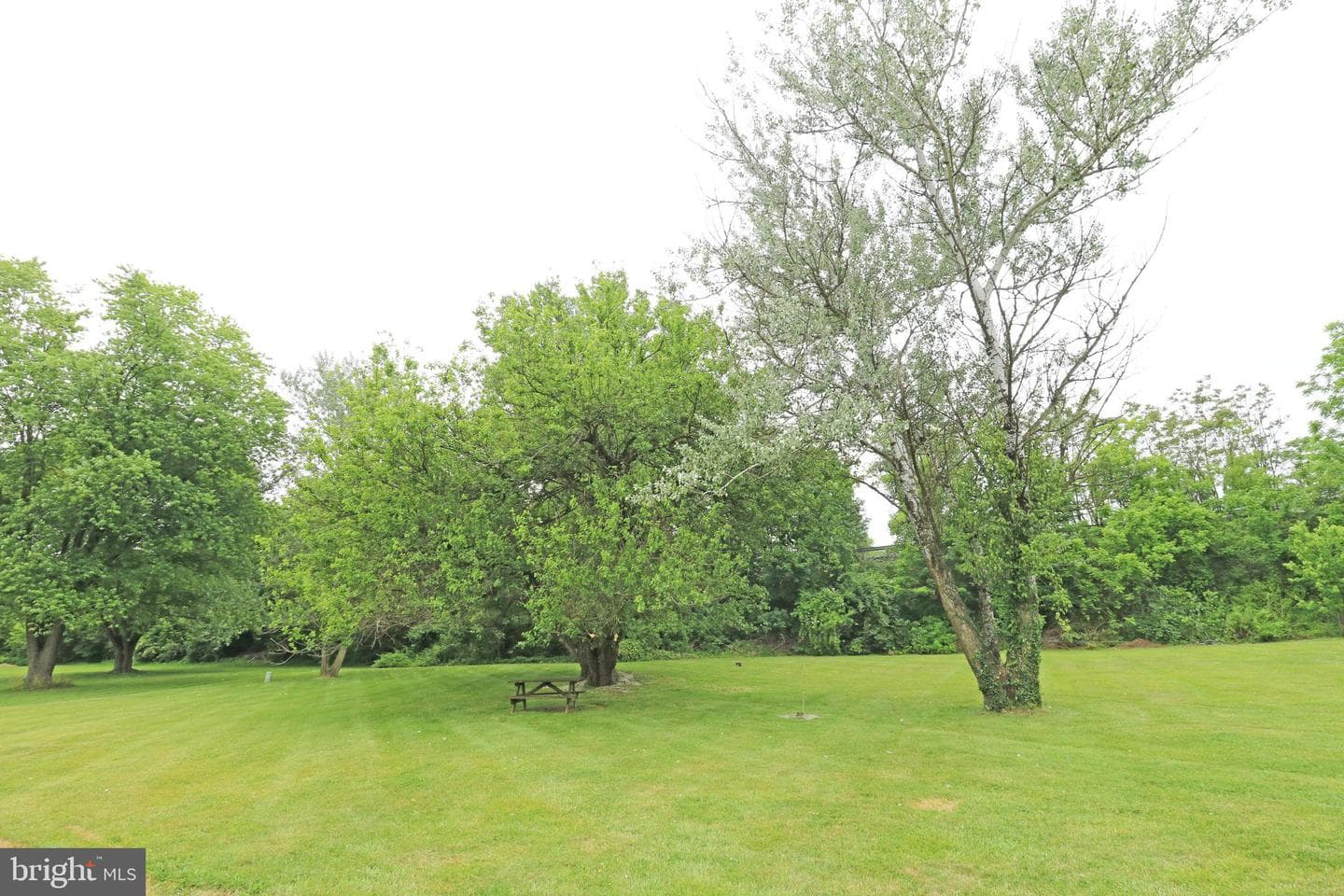 28 Frederick Road photo 34