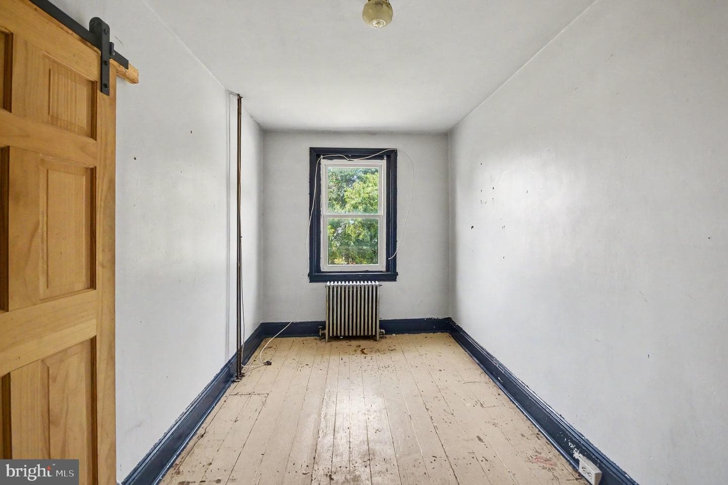 239 Hall Street photo 12