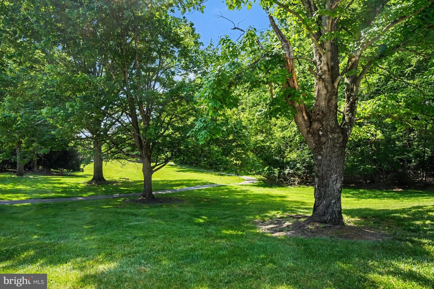 205 Valley Stream Lane #205 photo 25