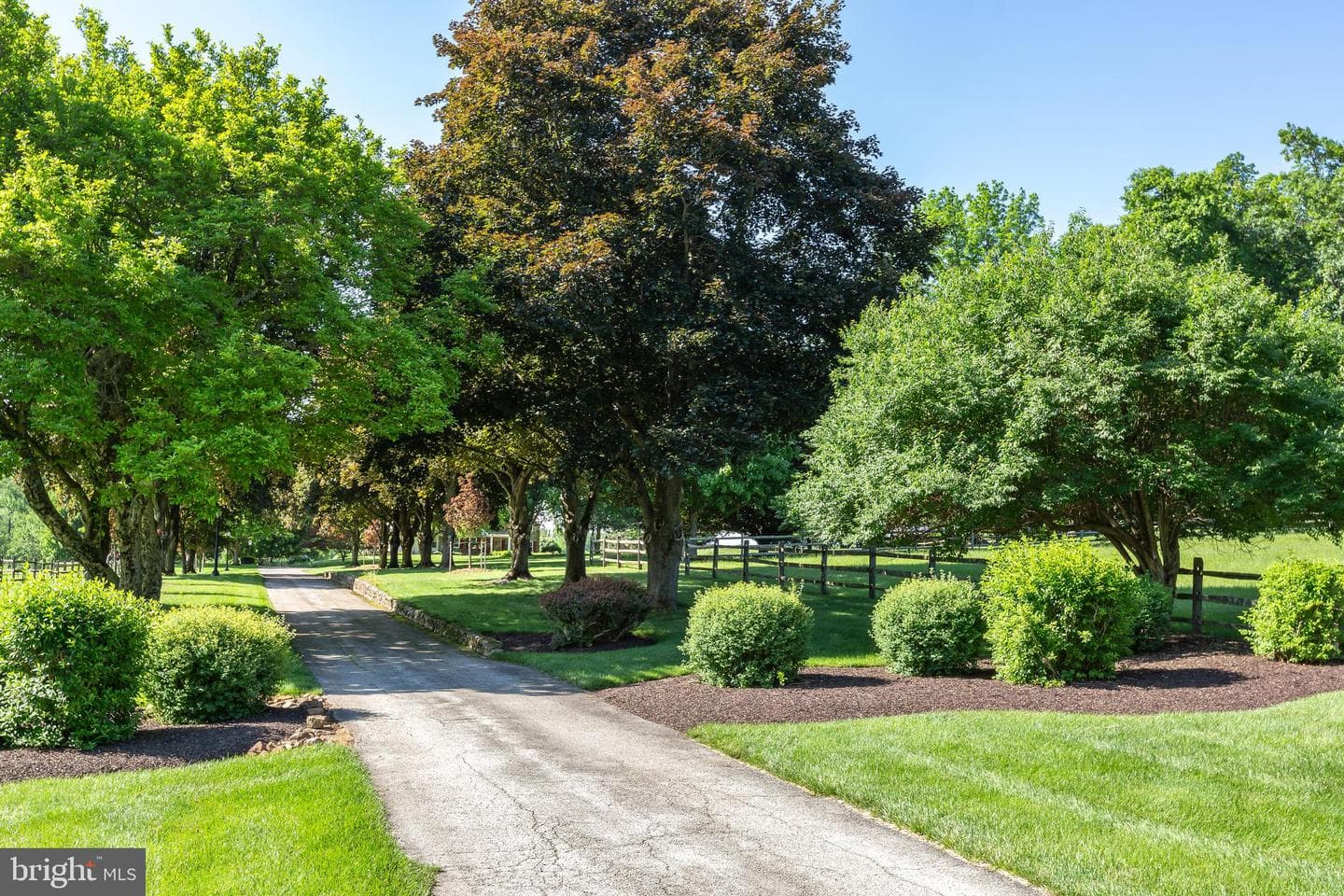 137 Davis Road photo 3