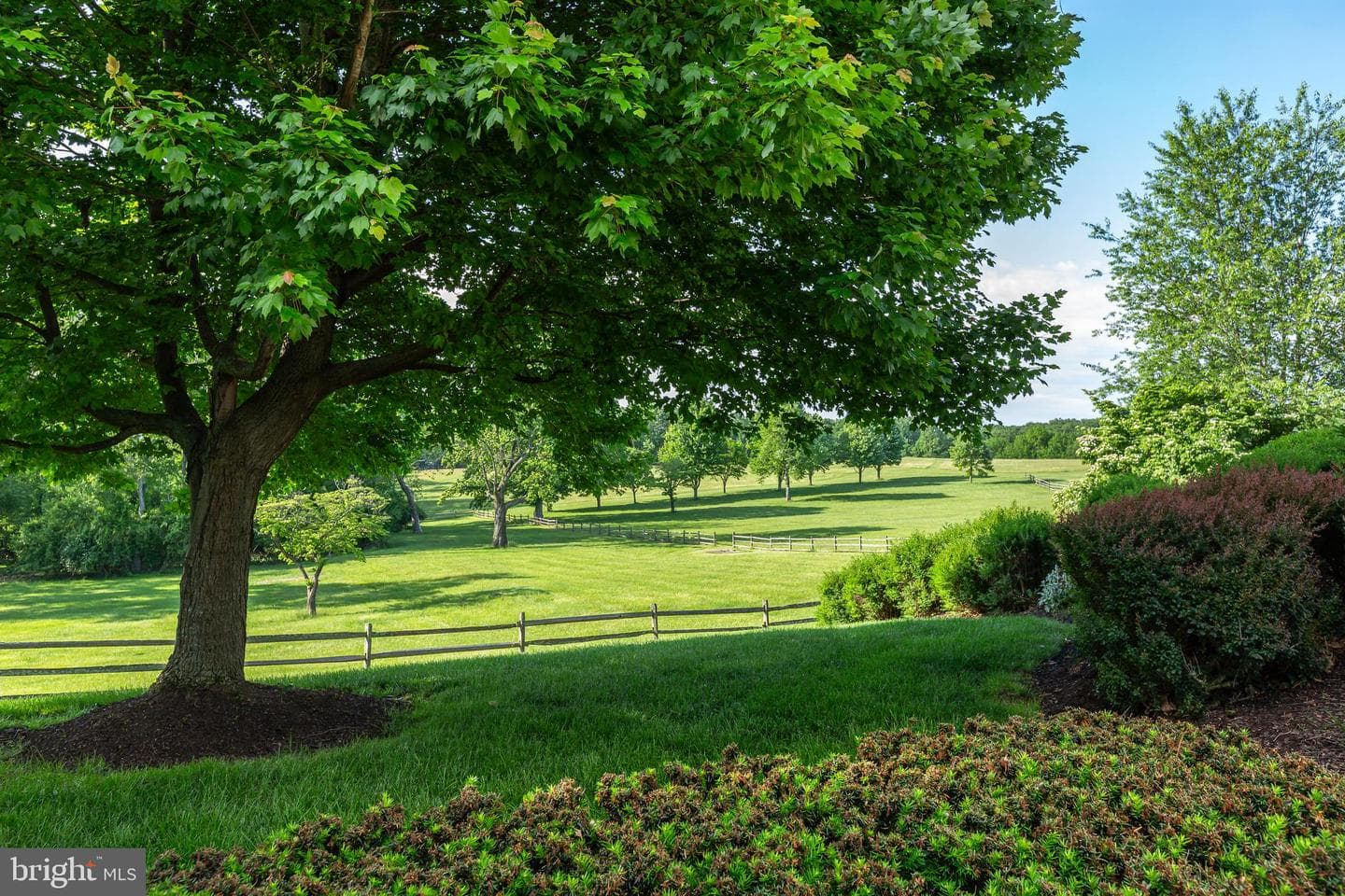 137 Davis Road photo 52