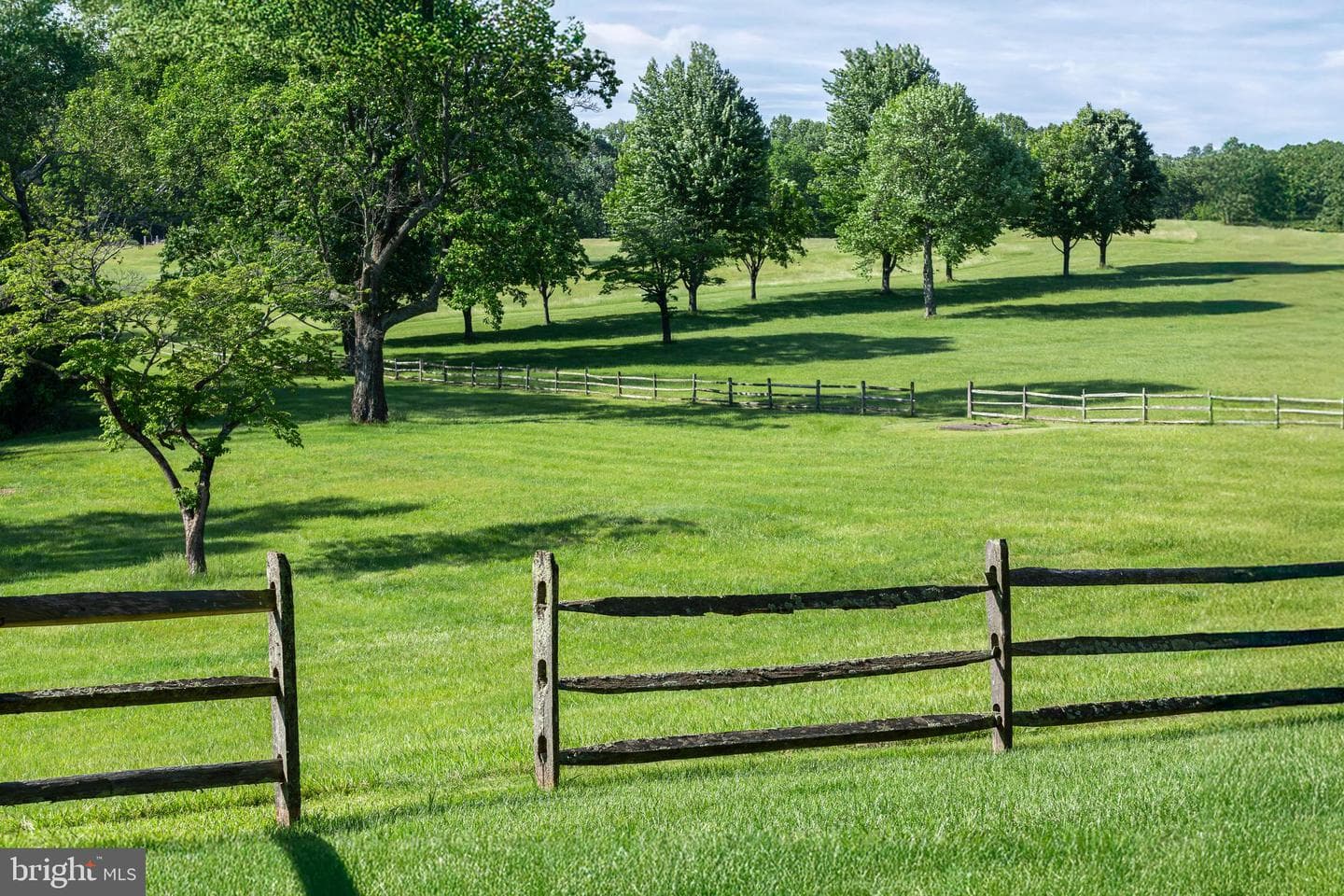137 Davis Road photo 53