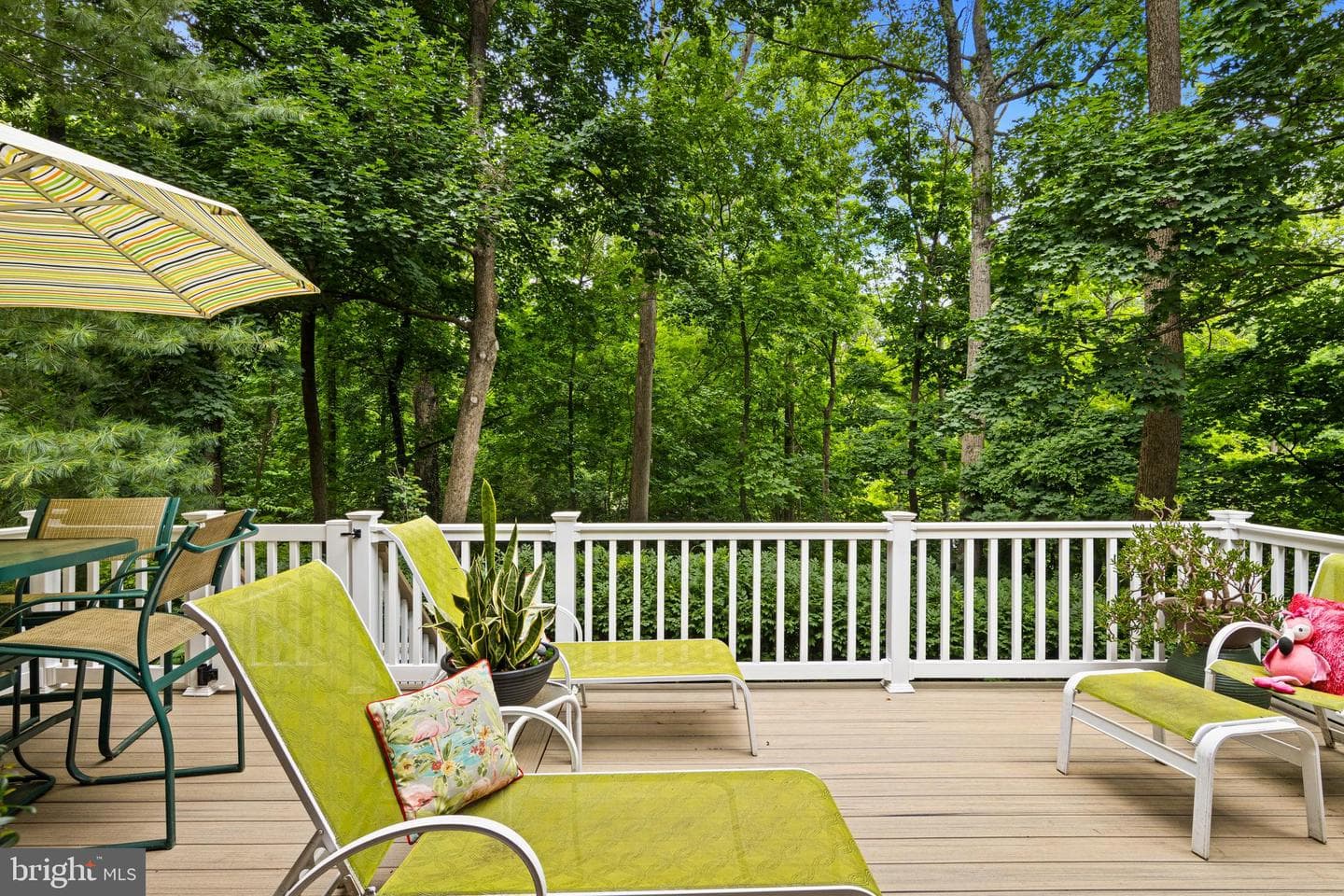 1403 Berwyn Paoli Road photo 6