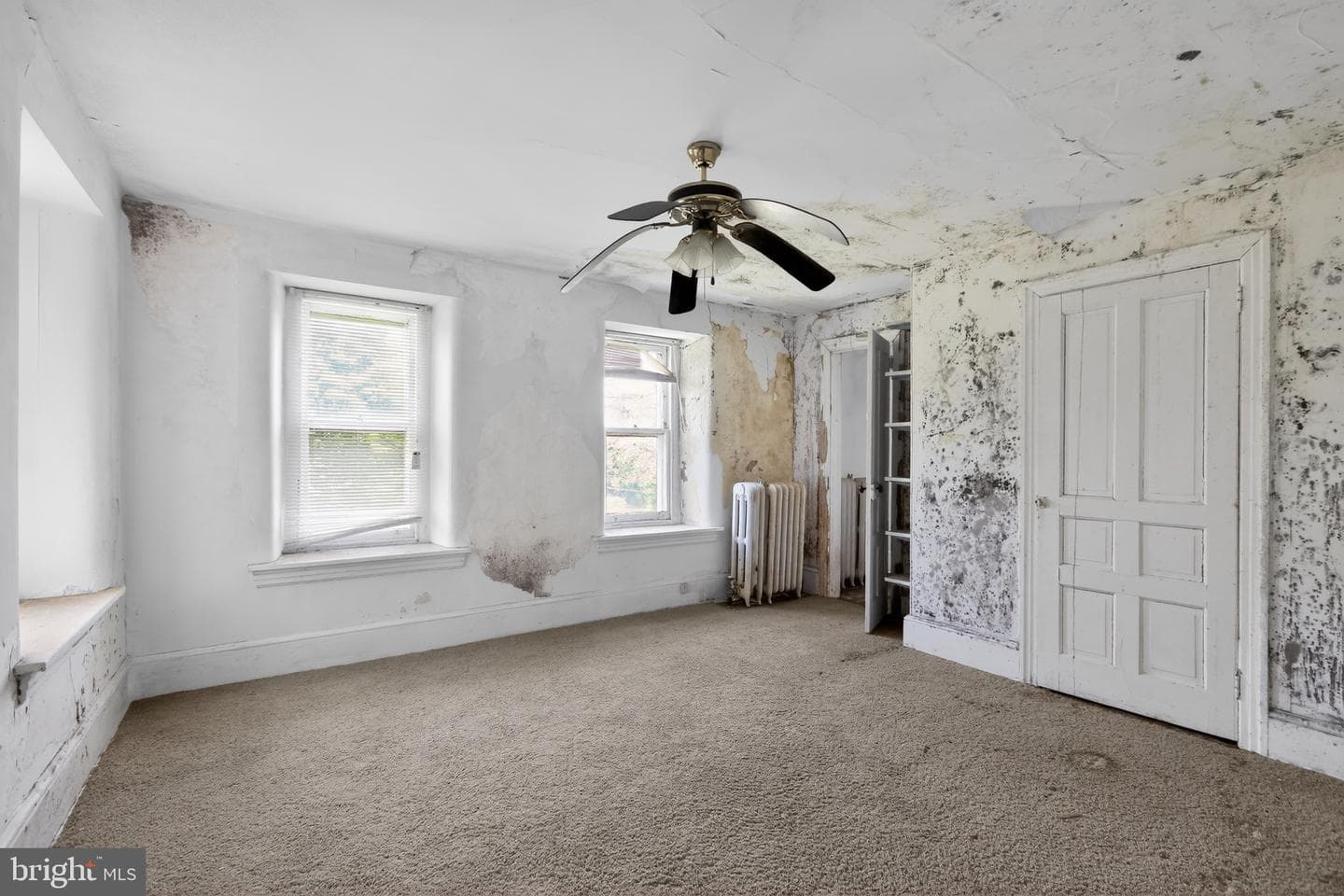 250 Kolb Road photo 9