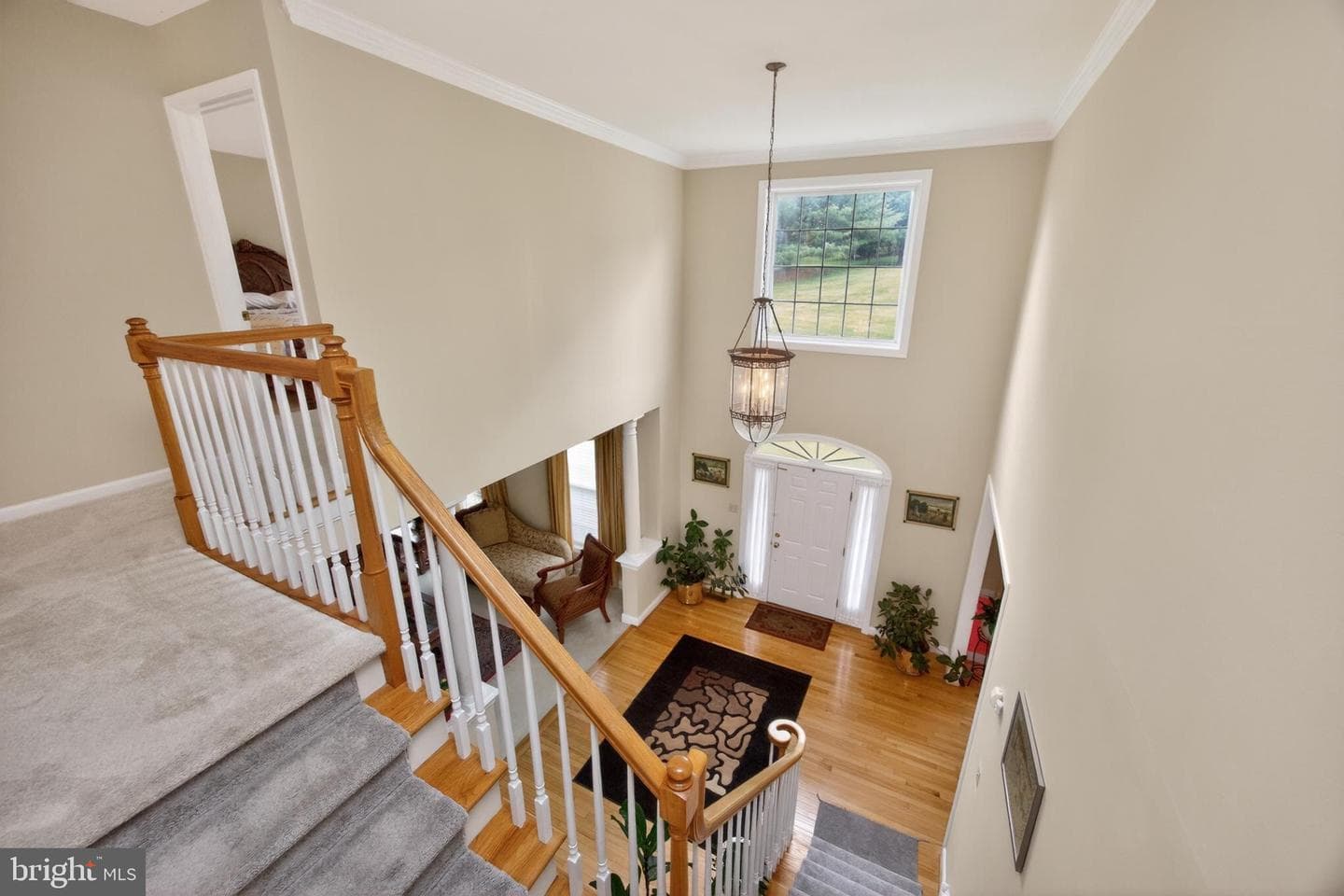 904 Victoria Court photo 11