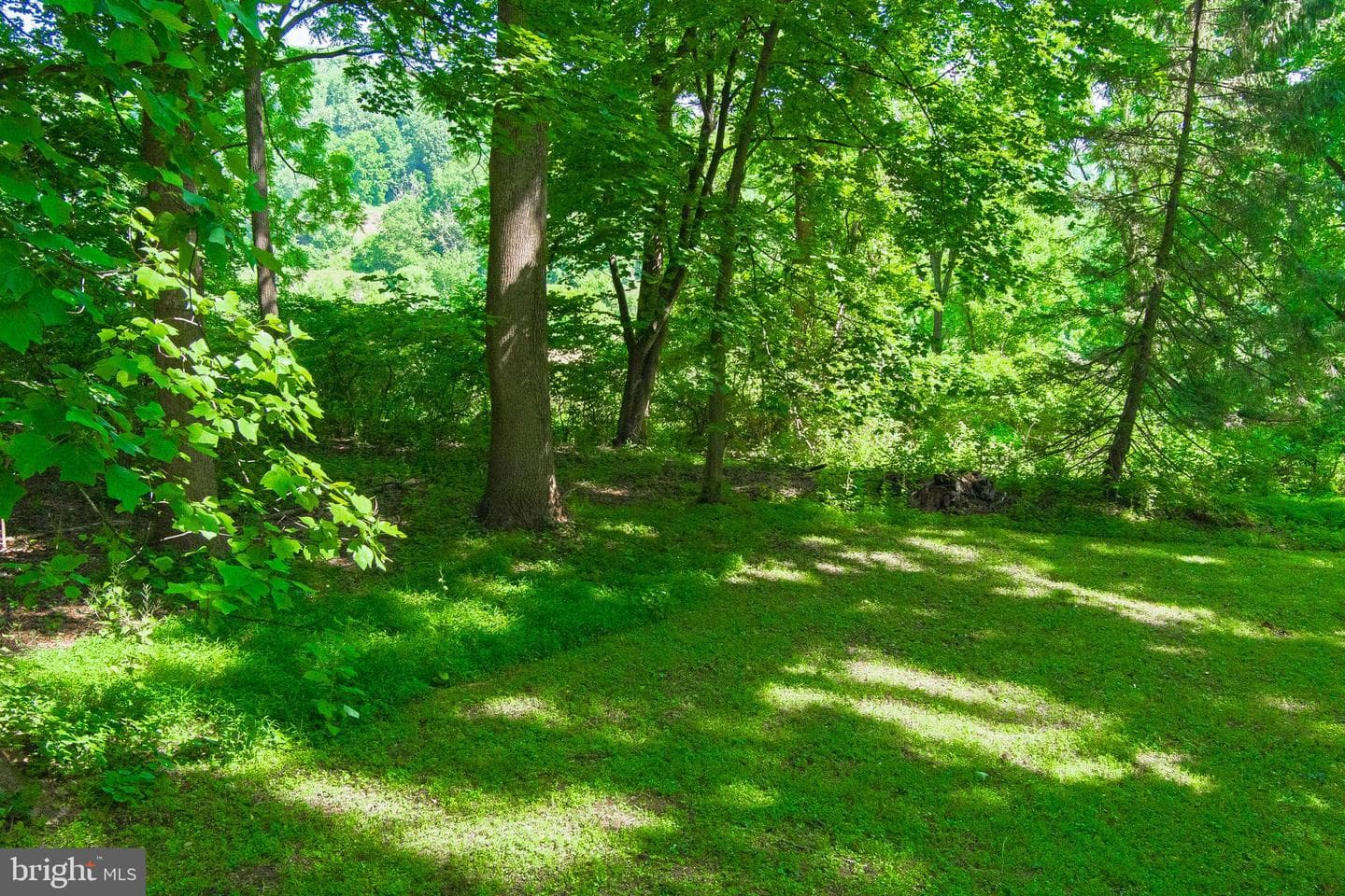 913 Heather Lane photo 40