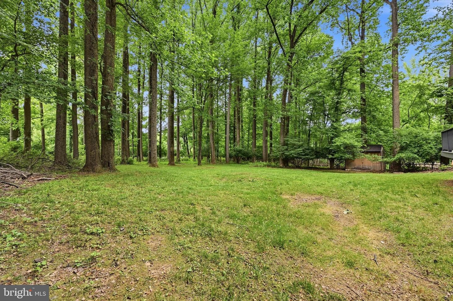 1418 Bramble Lane photo 48