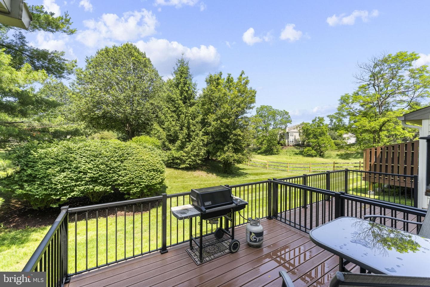 177 Stewarts Court photo 29