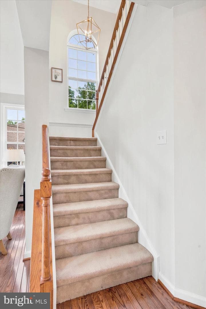 24 White Woods Lane photo 17