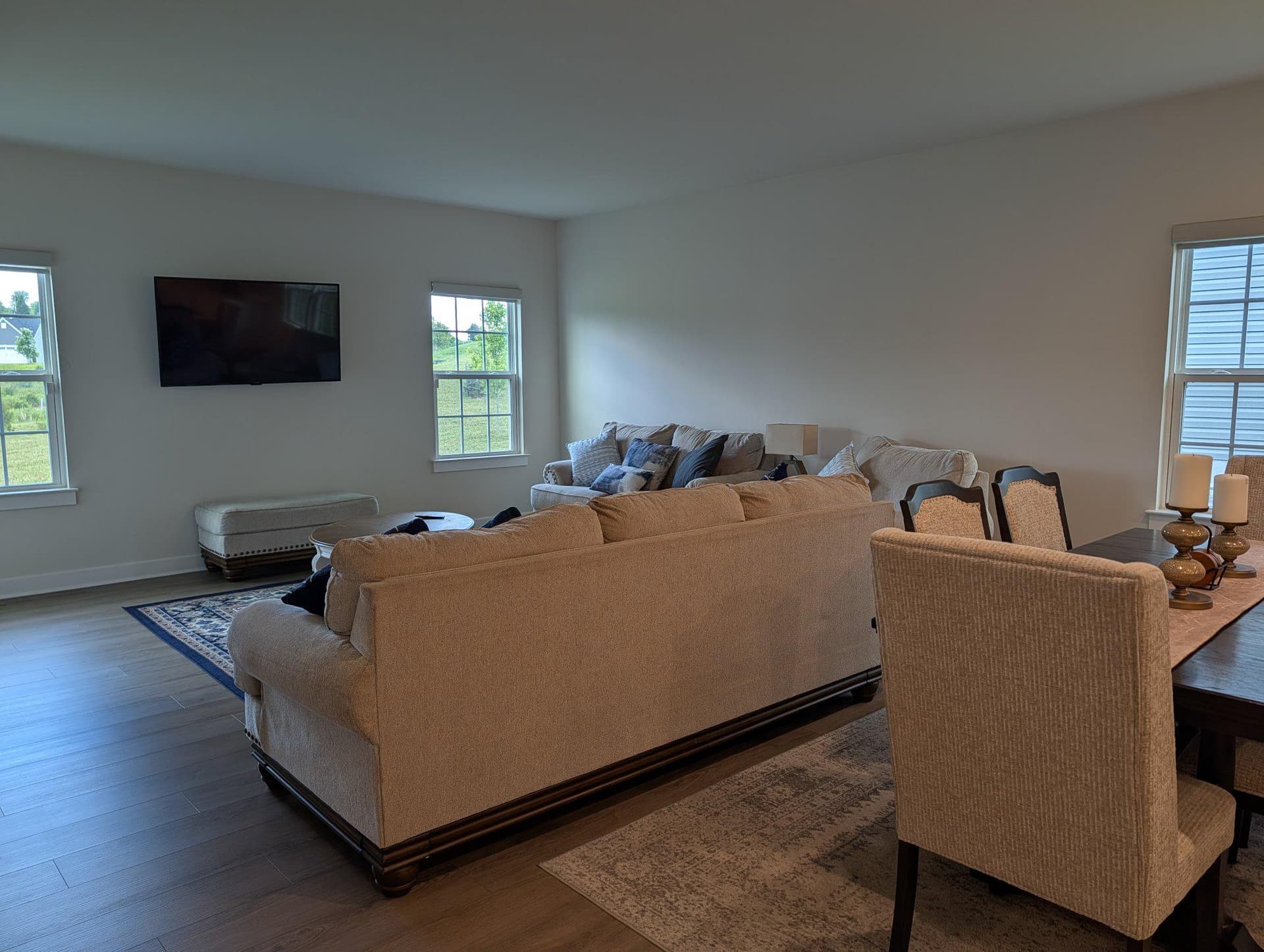 223 Letitia Manor Drive photo 16