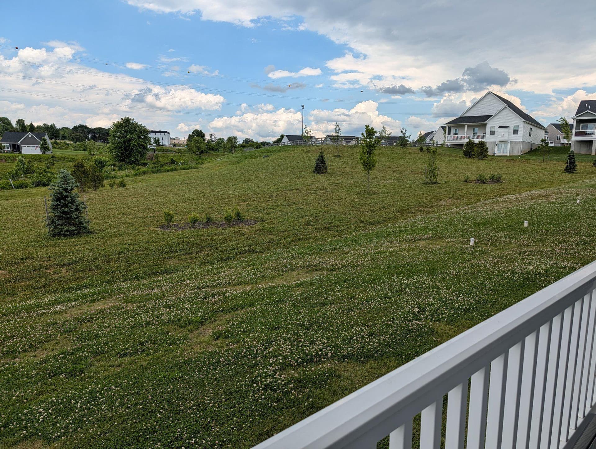 223 Letitia Manor Drive photo 26