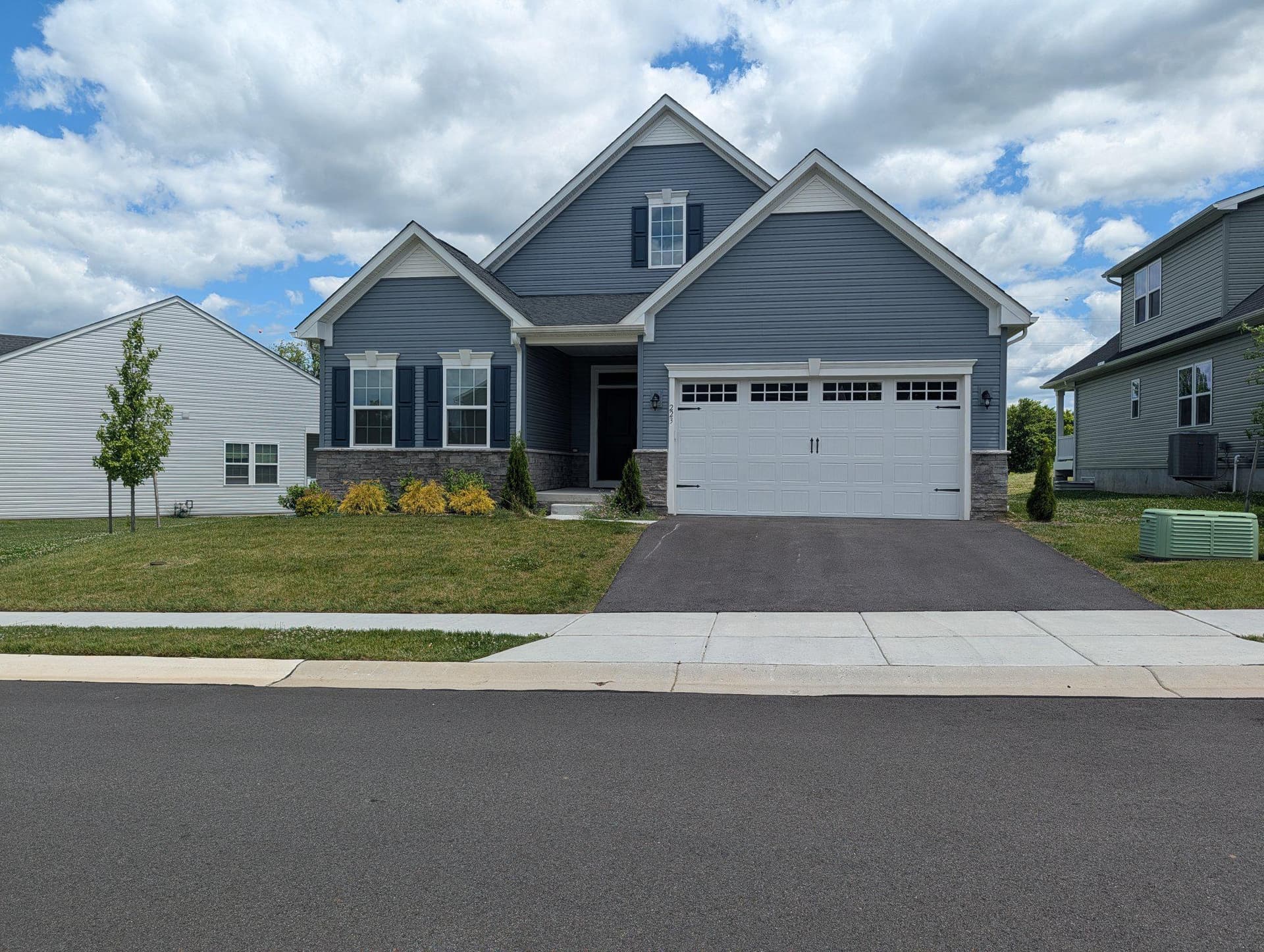 223 Letitia Manor Drive photo 5