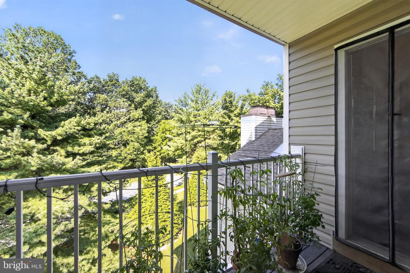 534 Astor Square photo 29