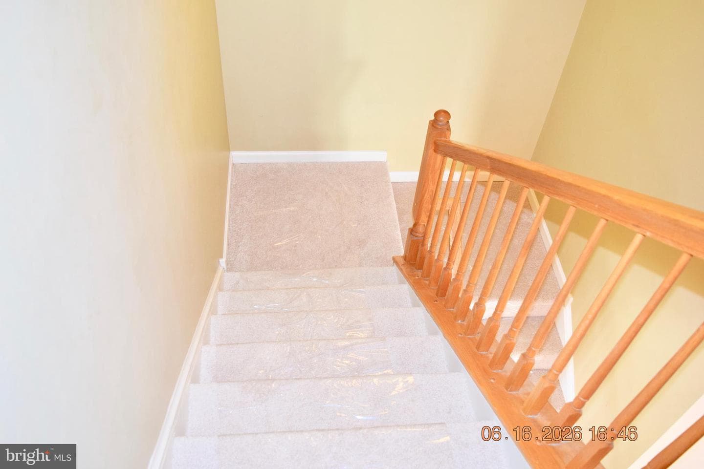134 Maloney Terrace photo 43