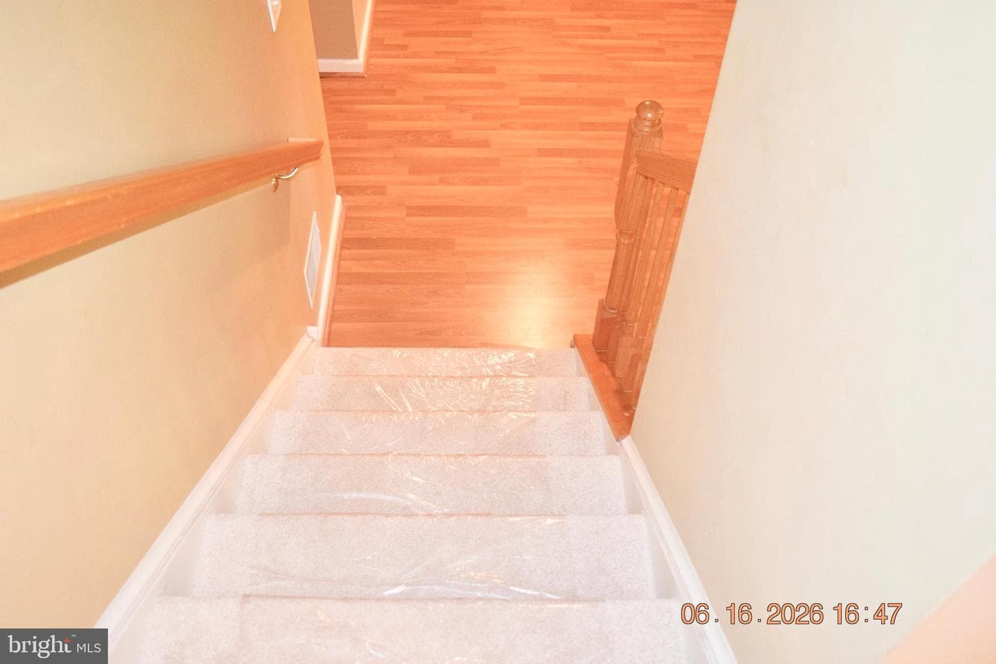 134 Maloney Terrace photo 45