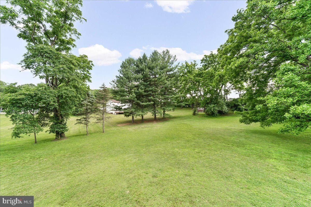 12 Peach Tree Lane photo 40