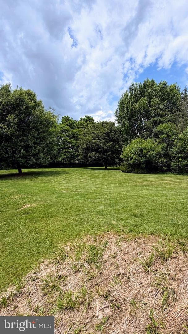 170 Lenora Lane photo 39