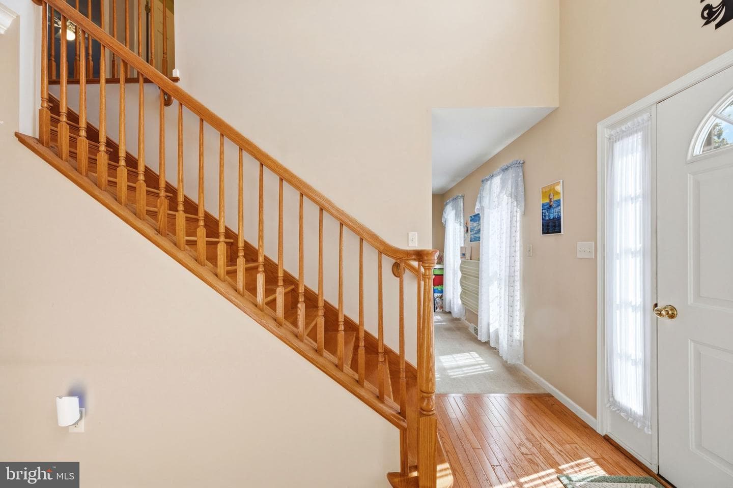 101 White Doe Drive photo 13