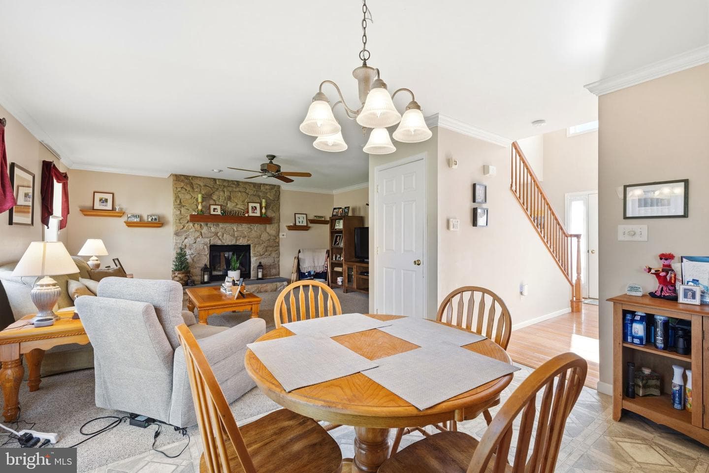 101 White Doe Drive photo 28
