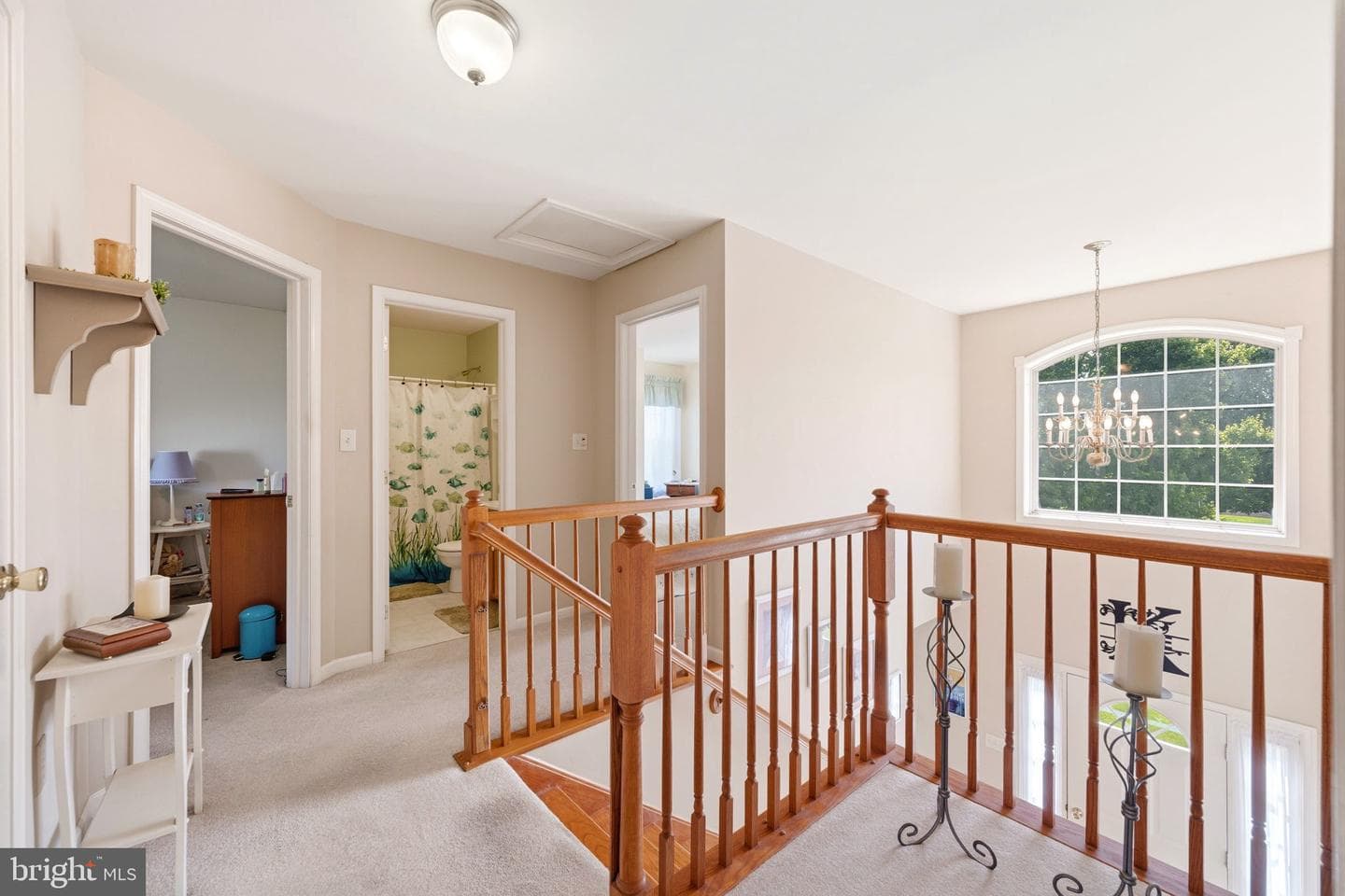101 White Doe Drive photo 39