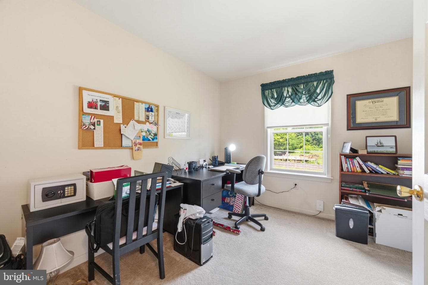 101 White Doe Drive photo 48