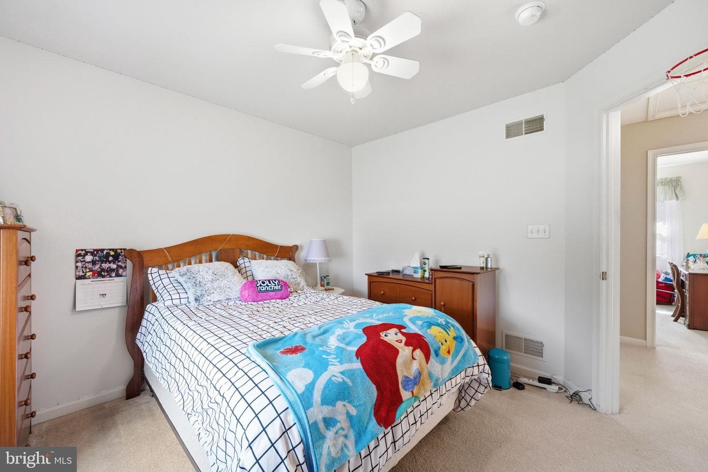 101 White Doe Drive photo 52