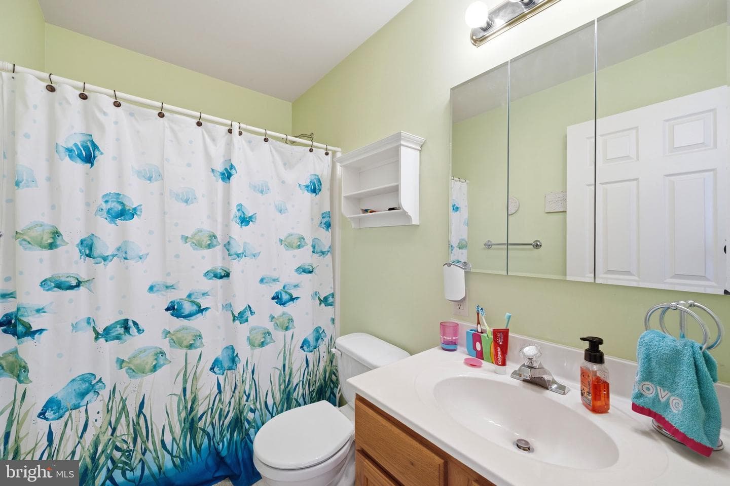 101 White Doe Drive photo 54