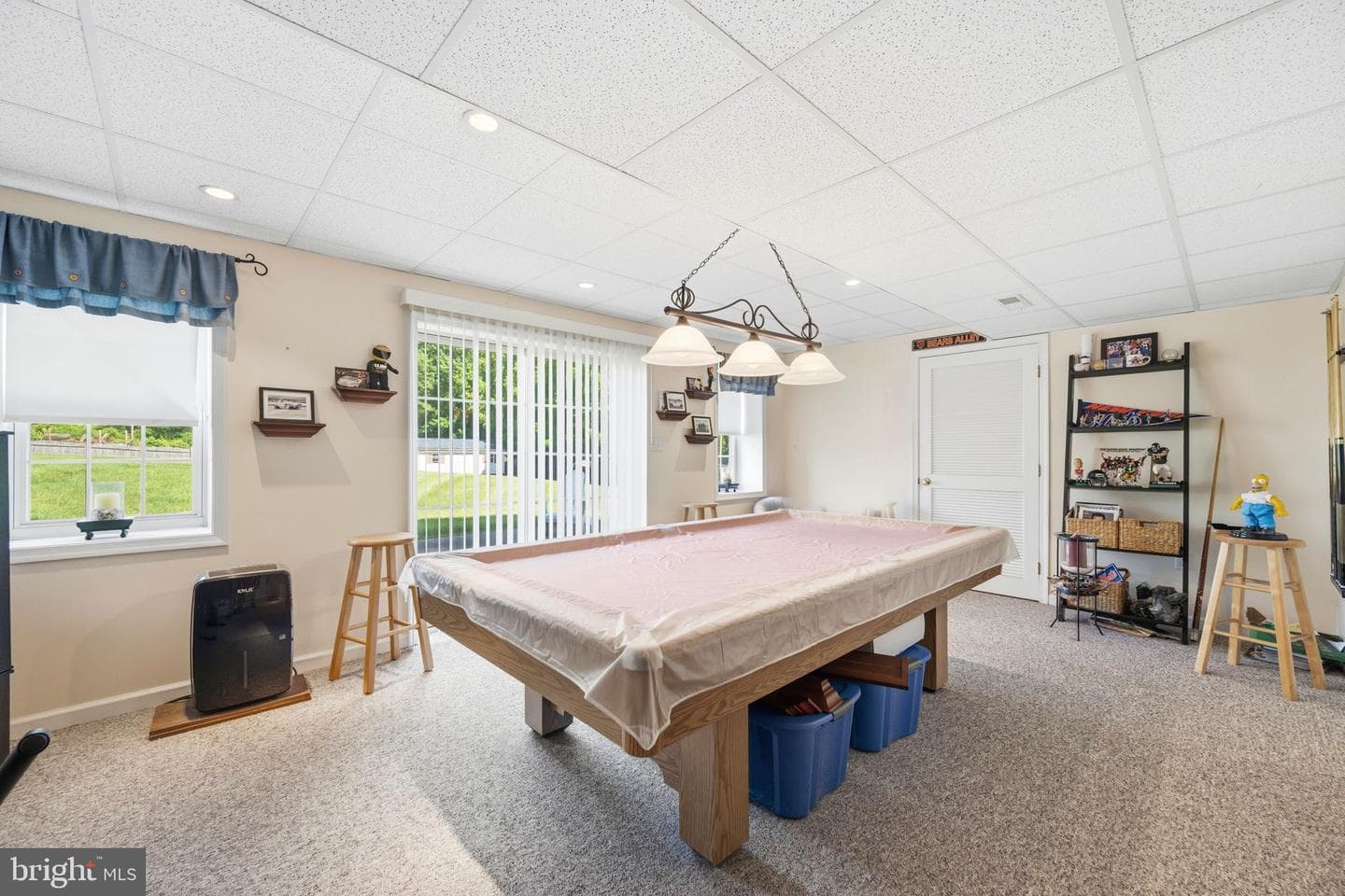 101 White Doe Drive photo 63