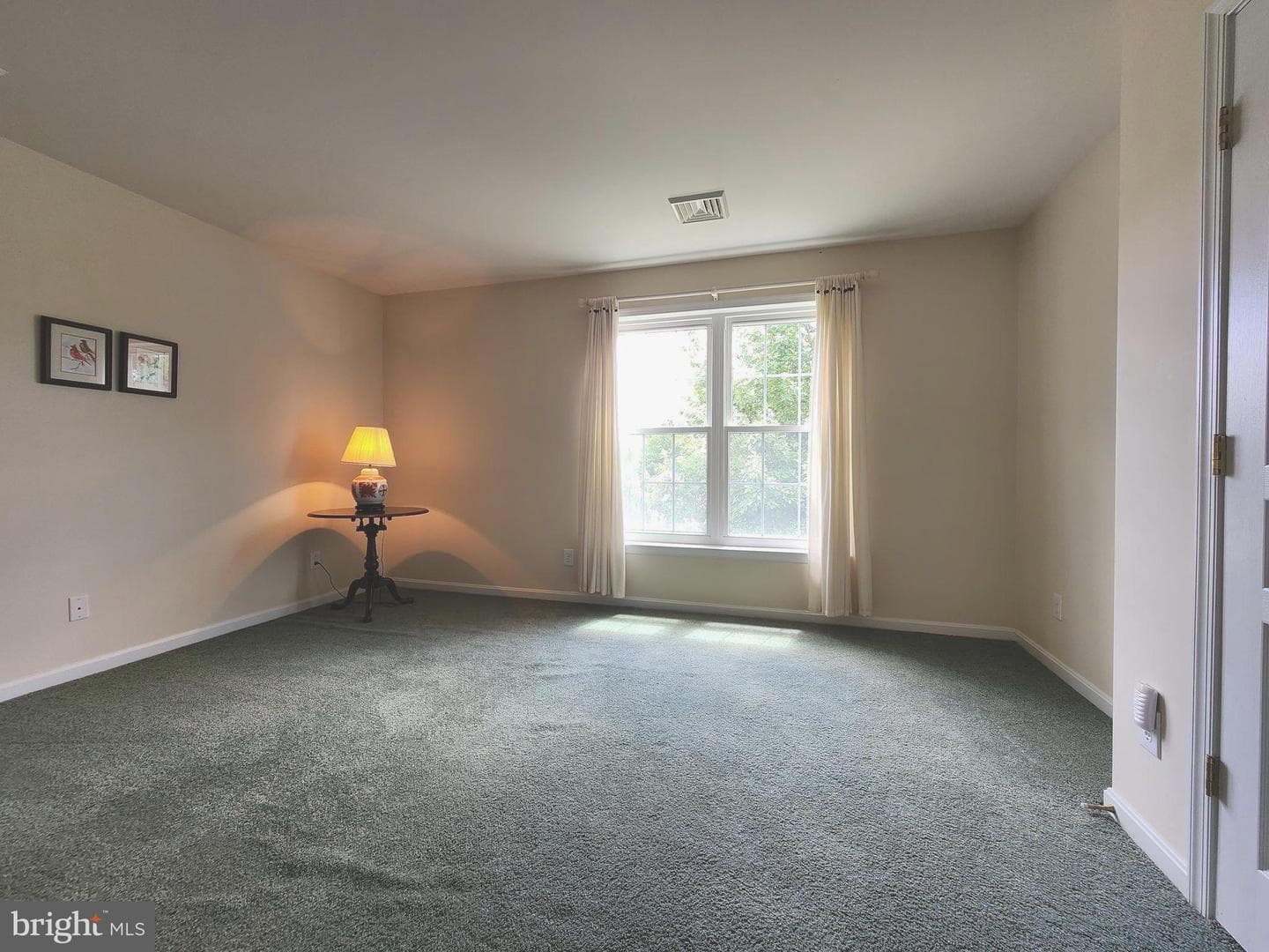 128 Lantana Drive photo 23