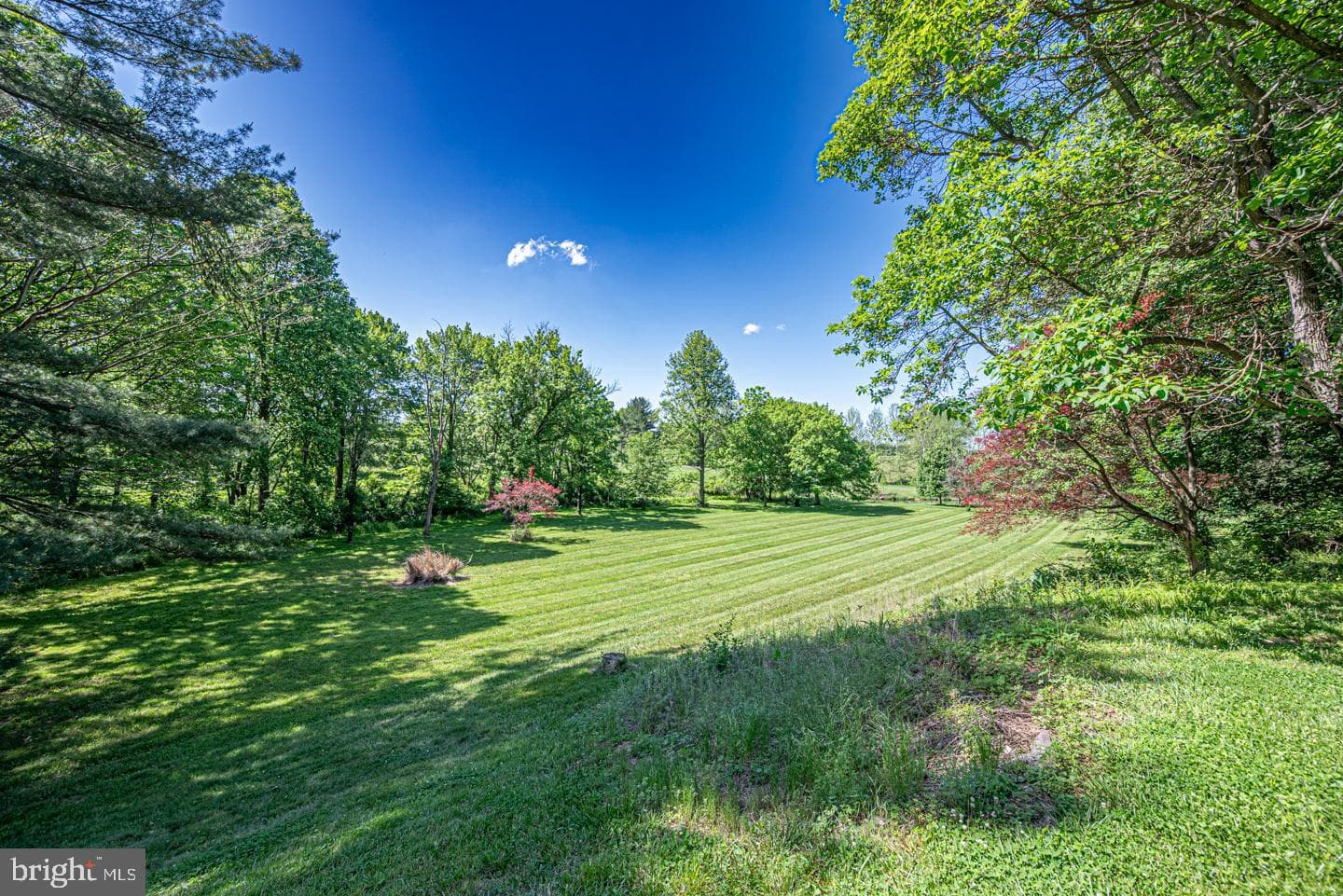 1110 W Street Road, West Chester
