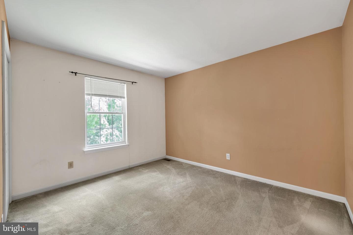 63 Pinckney Drive photo 20