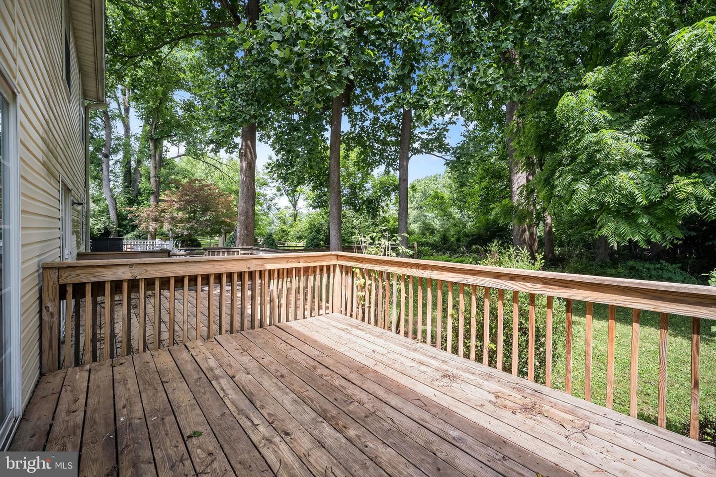 63 Pinckney Drive photo 28