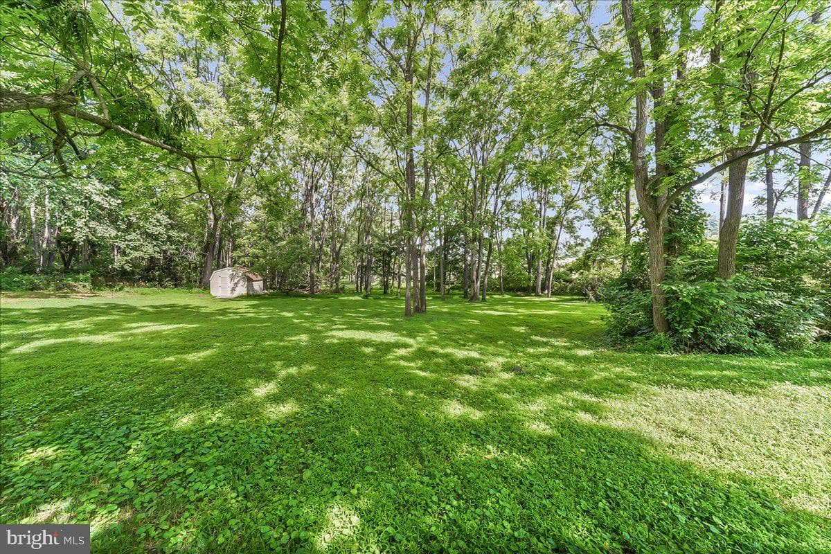186 White Doe Drive photo 4
