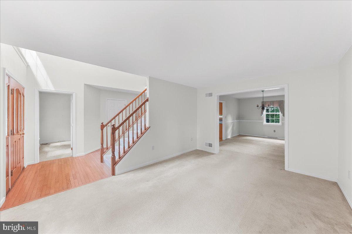 186 White Doe Drive photo 8