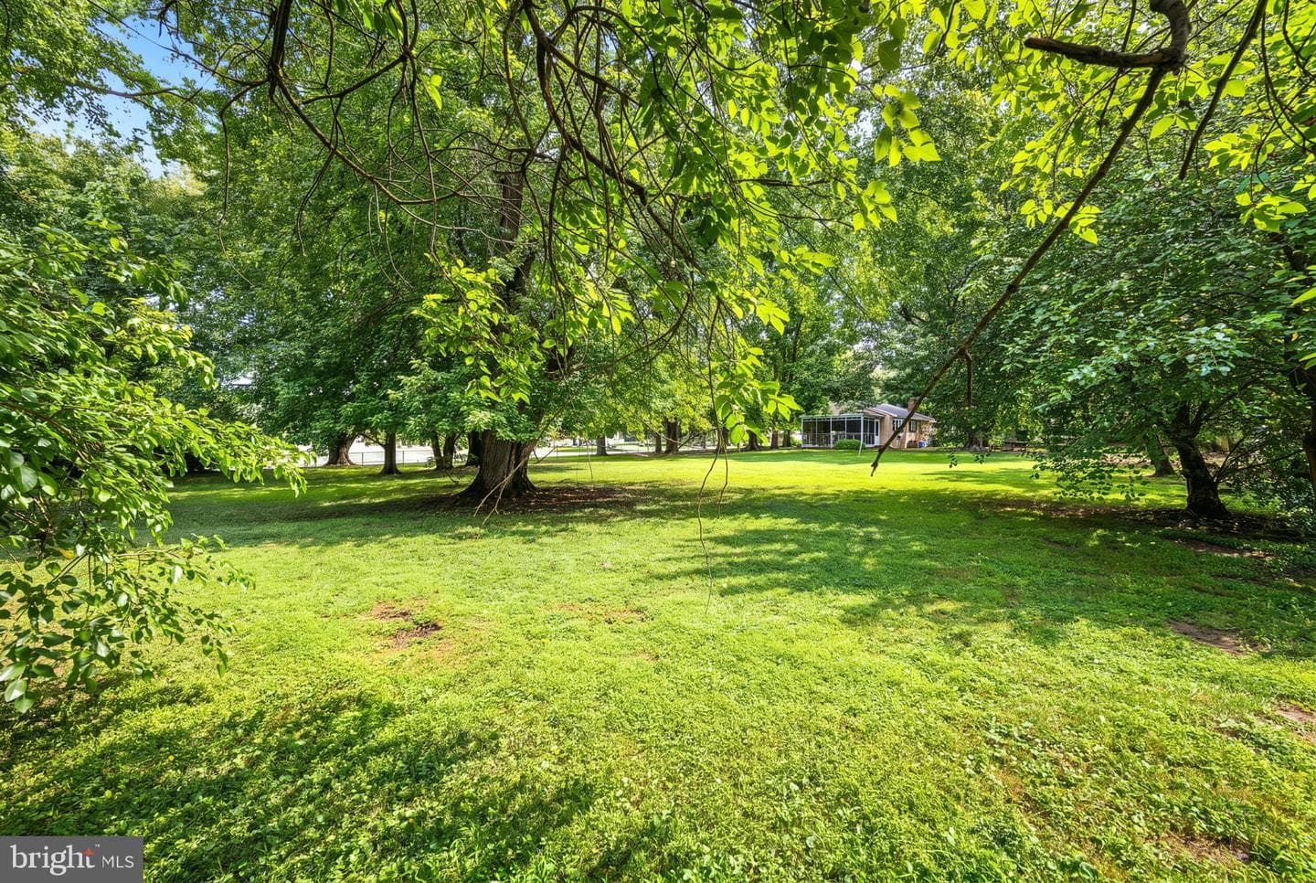 102 Westview Drive photo 4