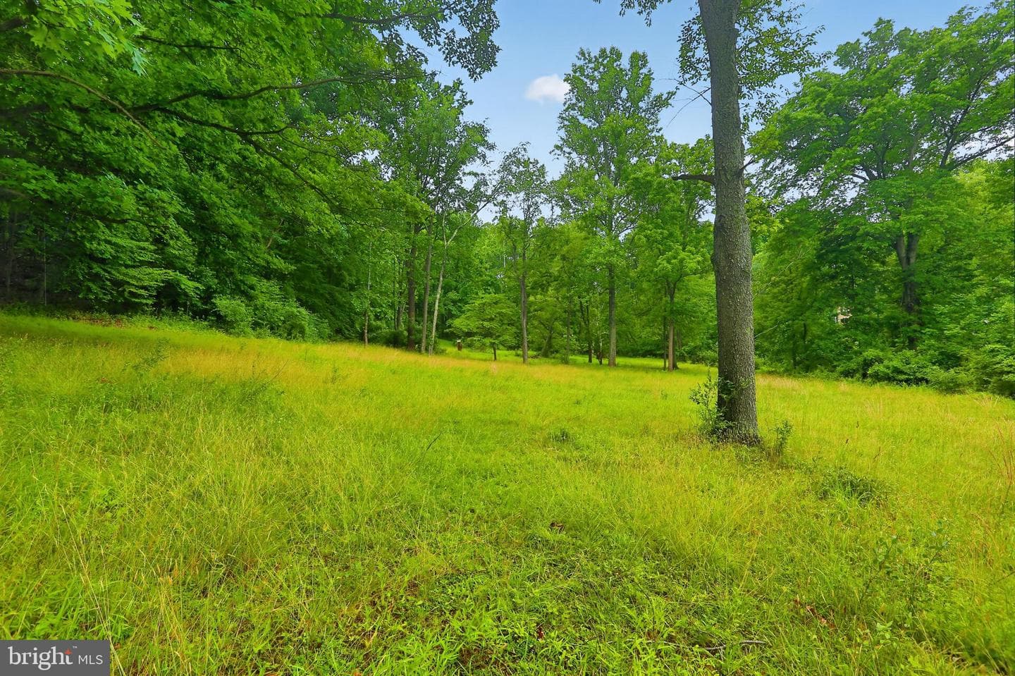 479 Willann Drive photo 46