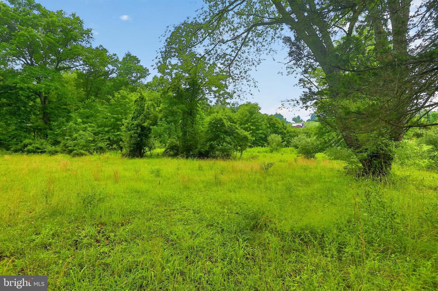 479 Willann Drive photo 47