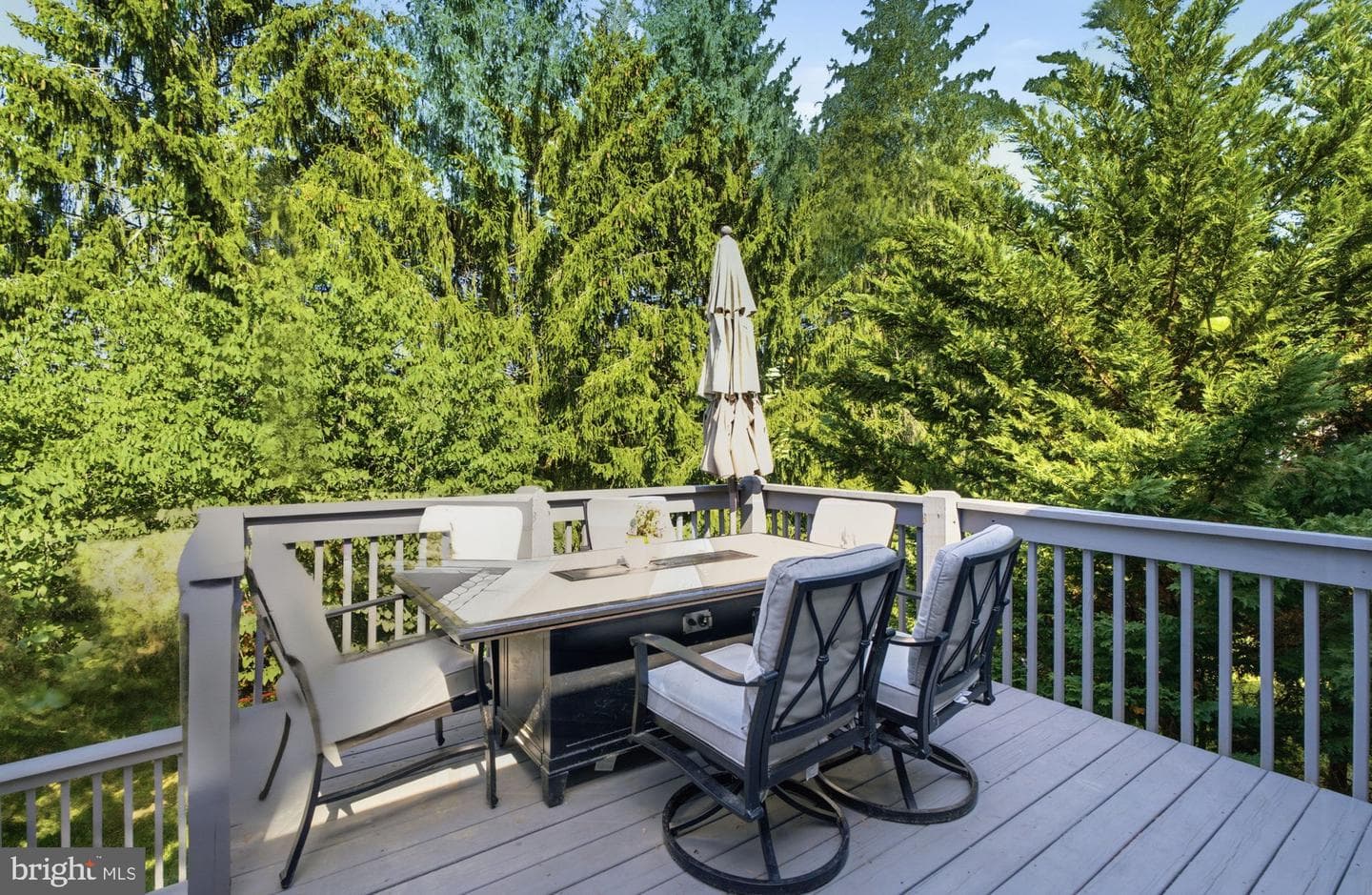 1319 Broad Run Road photo 43