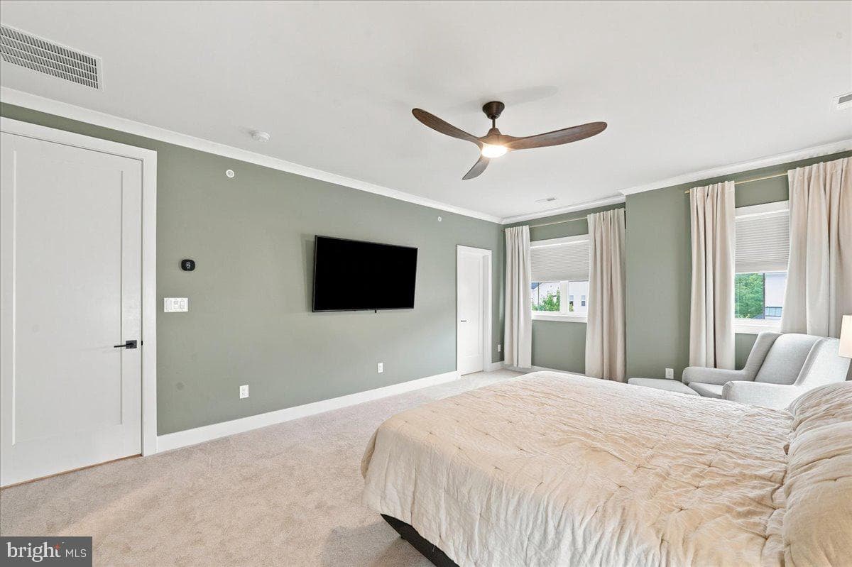 223 Lily Lane photo 23