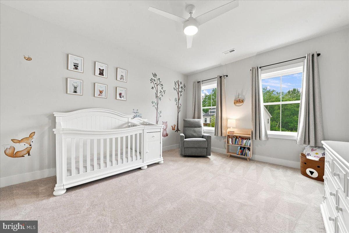 223 Lily Lane photo 31