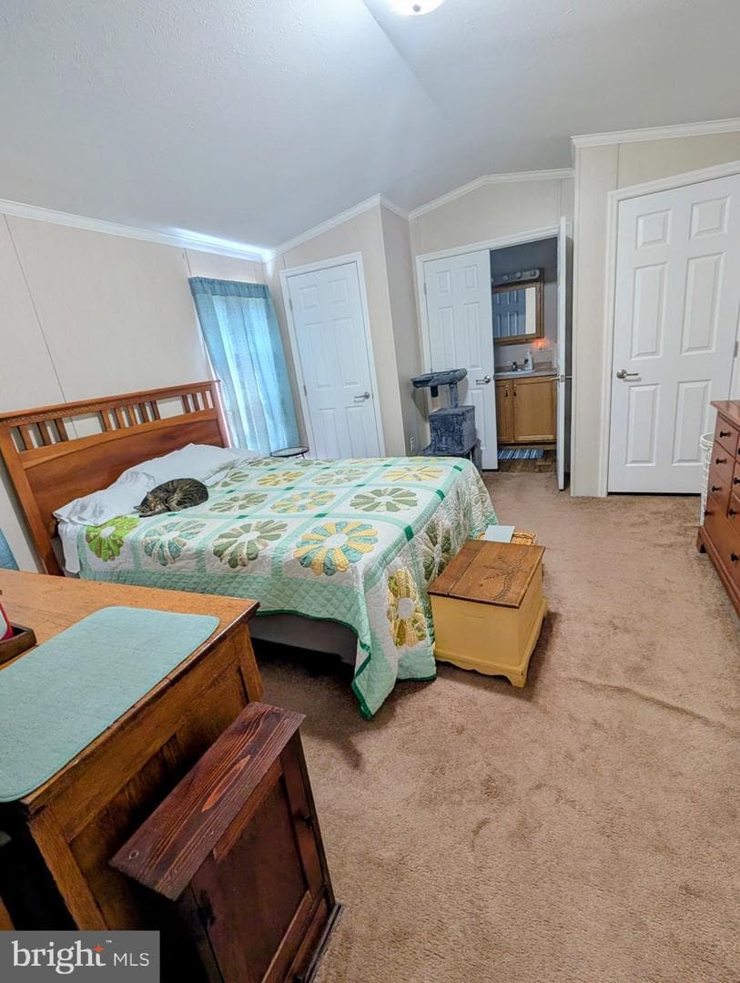19 Fleming Dr photo 6