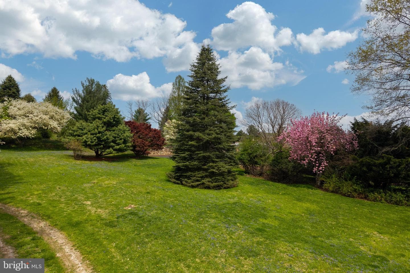 394 Street Road photo 12