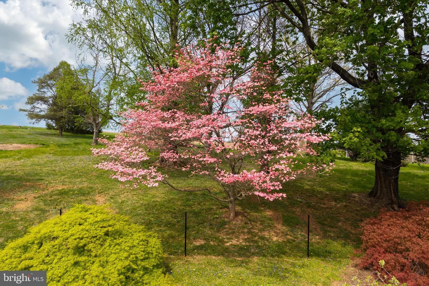 394 Street Road photo 15