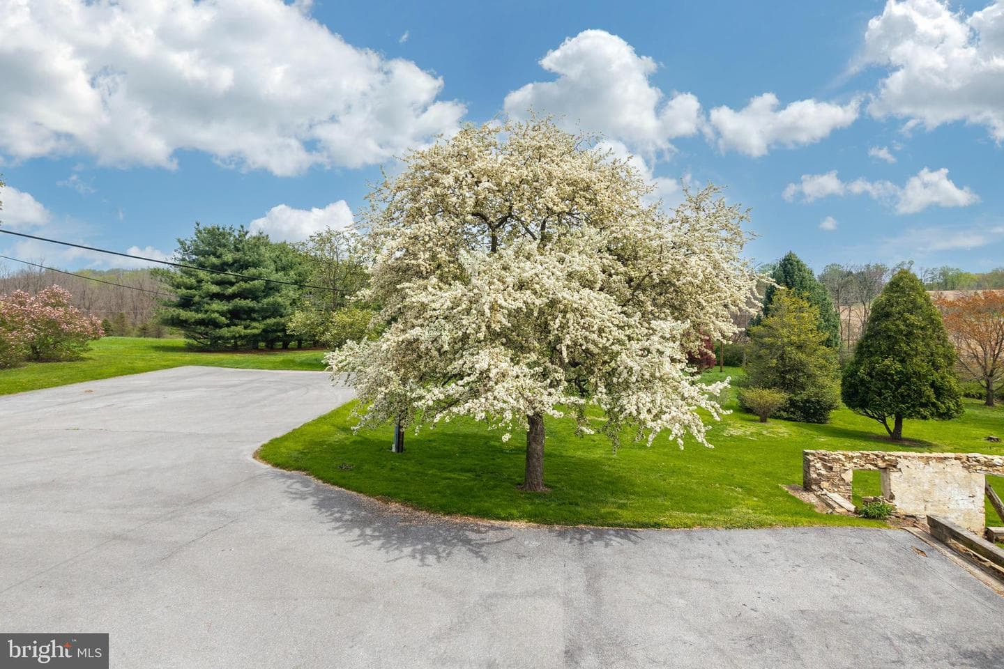 394 Street Road photo 16