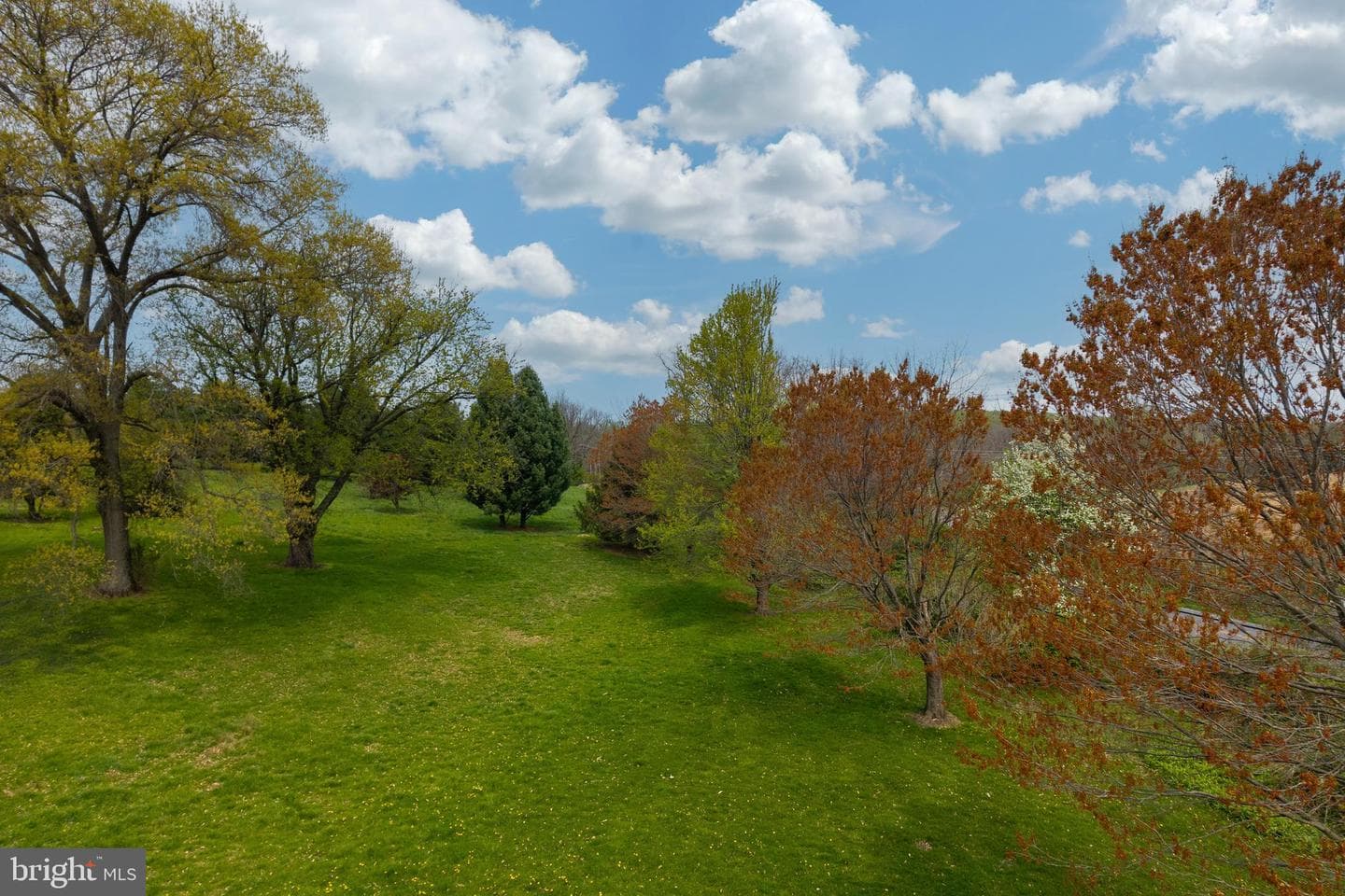 394 Street Road photo 19