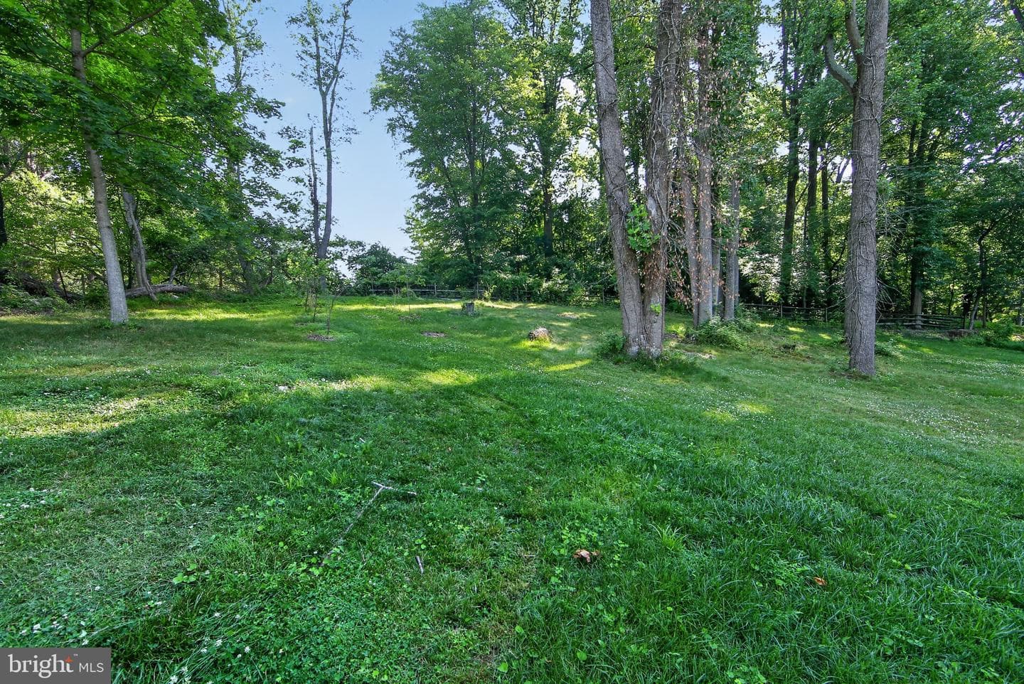 425 Westfield Drive photo 27