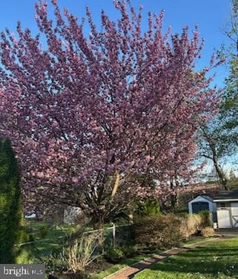 3 Maple Avenue photo 33